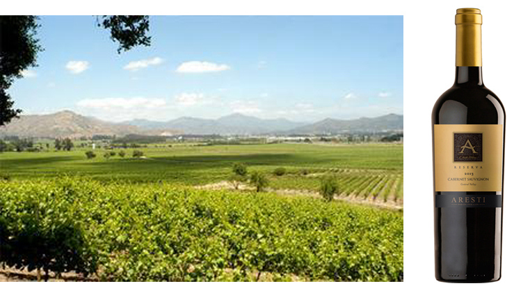 空加瓜谷 colchagua valley